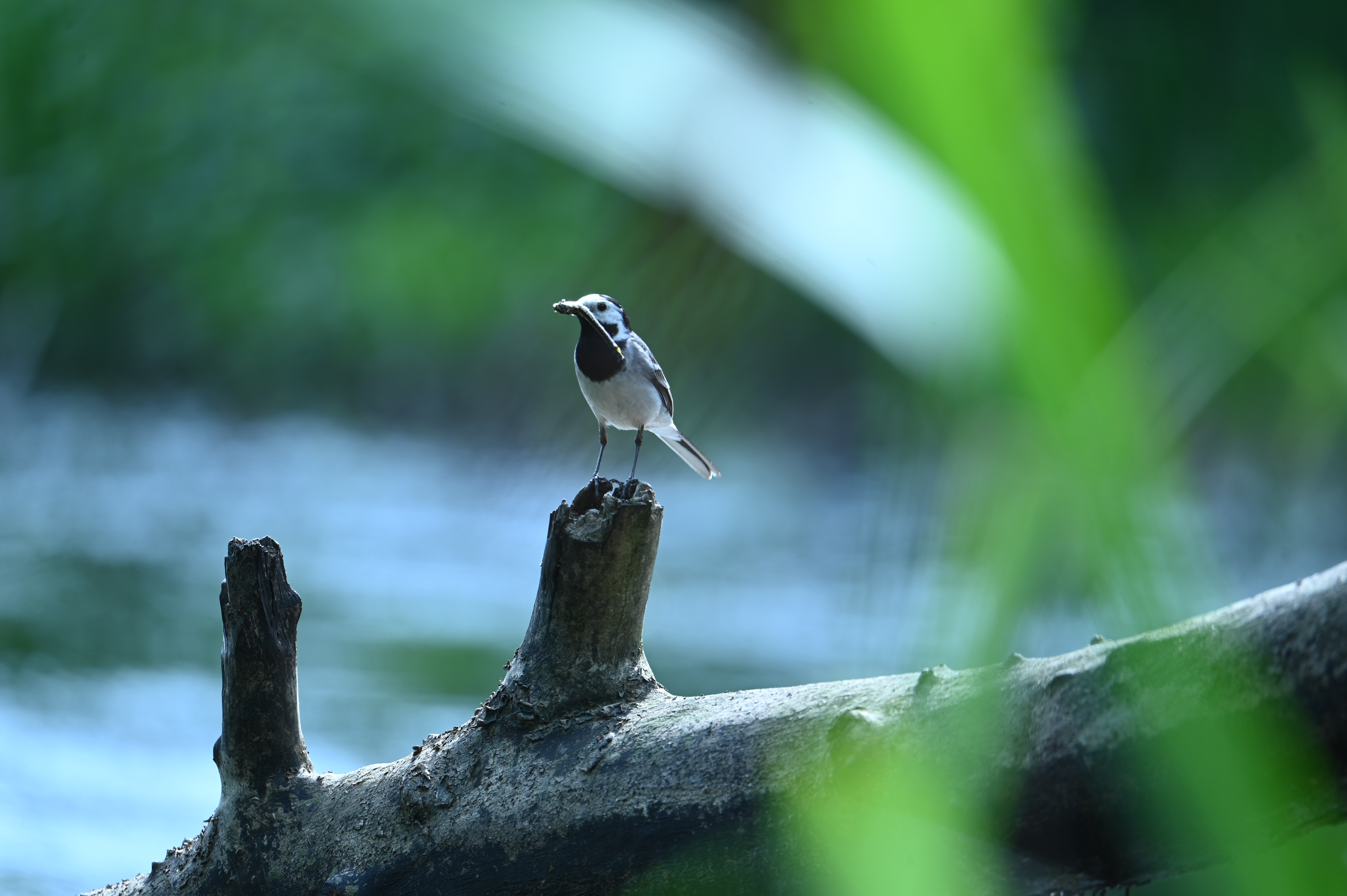 2025/07/09-14 - trip/DSC_0474.JPG